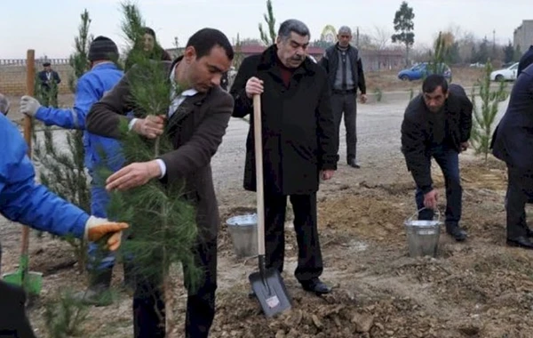 Yeni icra başçısı “lapatka” götürüb işə başladı - FOTO