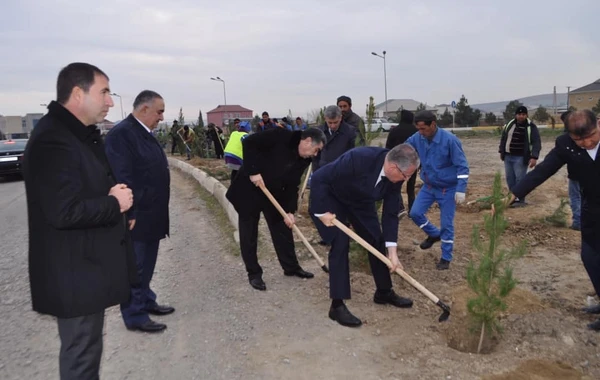 Yeni icra başçısı “lapatka” götürüb işə başladı - FOTO