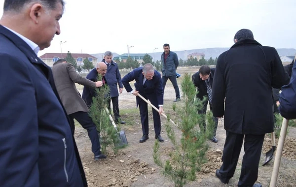 Yeni icra başçısı “lapatka” götürüb işə başladı - FOTO