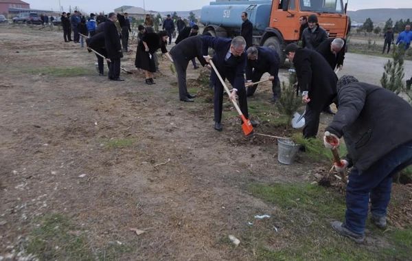Yeni icra başçısı “lapatka” götürüb işə başladı - FOTO