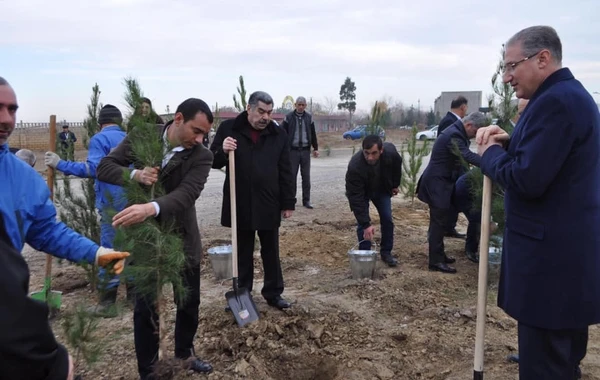 Yeni icra başçısı “lapatka” götürüb işə başladı - FOTO