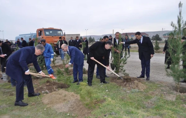 Yeni icra başçısı “lapatka” götürüb işə başladı - FOTO