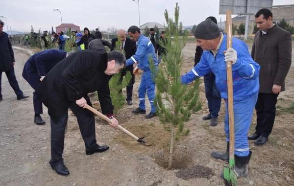 Yeni icra başçısı “lapatka” götürüb işə başladı - FOTO