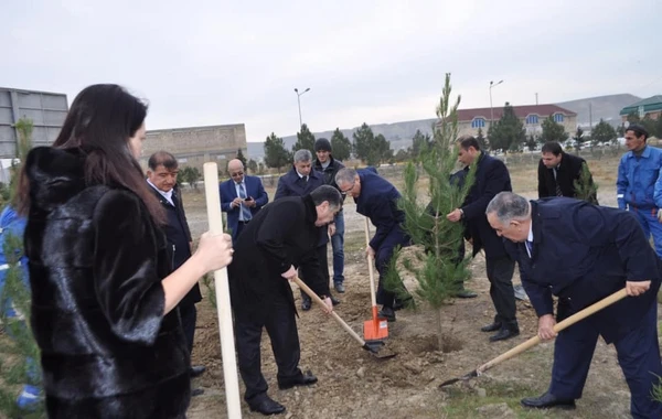 Yeni icra başçısı “lapatka” götürüb işə başladı - FOTO