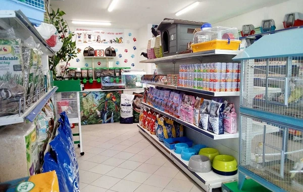 Bakıda zoomarketə basqın olub, sahibi bıçaqlanıb