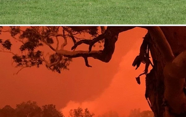 Avstraliya dəhşətli yanğınlardan əvvəl və sonra - FOTO
