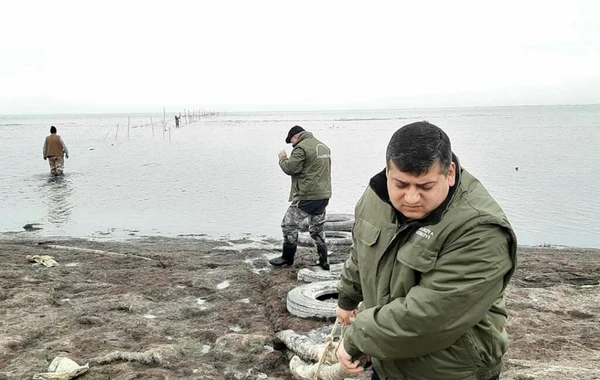 Su hövzələrində reyd keçirildi - FOTO