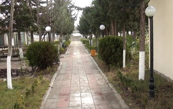 Salyanda kütləvi dava olub - 2 nəfər bıçaqlanıb