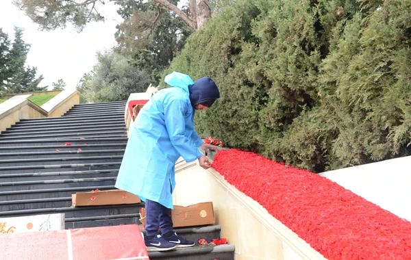“Şəhidlər Xiyabanı”nda 20 Yanvar faciəsinin ildönümü ilə bağlı hazırlıq işləri aparılır - FOTO