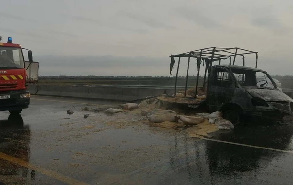 Жуткое ДТП в Азербайджане: водитель сгорел заживо - ФОТО
