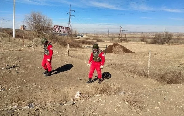 В Агстафе обнаружены оружие и боеприпасы - ФОТО