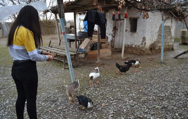 “Könüllü qonaq” təşəbbüsü davam edir: indi də Ağcabədidə
