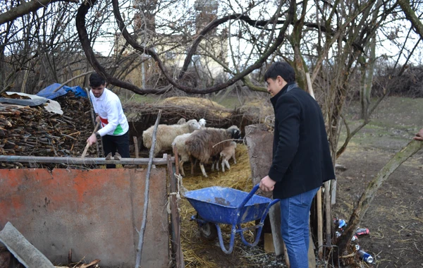 “Könüllü qonaq” təşəbbüsü davam edir: indi də Ağcabədidə