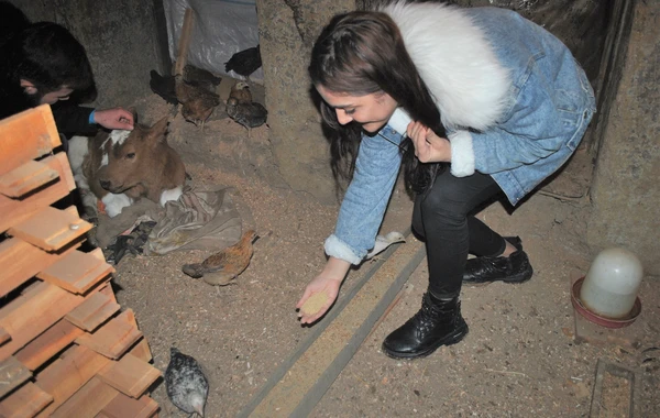 “Könüllü qonaq” təşəbbüsü bu dəfə Masallıda - FOTO