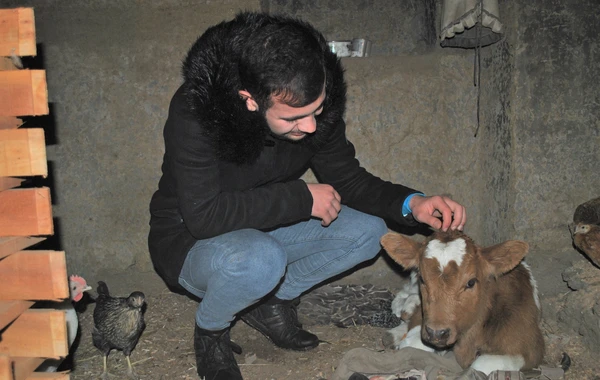 “Könüllü qonaq” təşəbbüsü bu dəfə Masallıda - FOTO