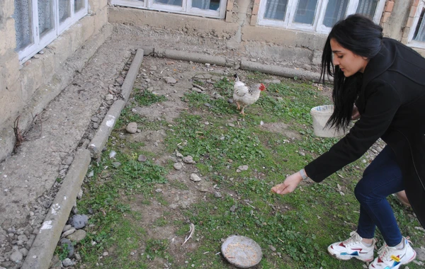 Region gənclərimiz növbəti dəfə “Könüllü qonaq” təşəbbüsünə qoşuldular - FOTO