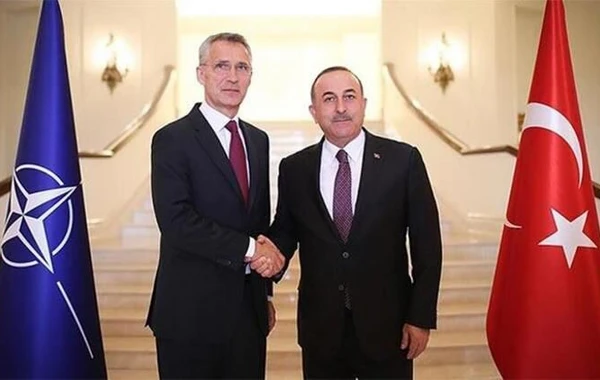 NATO-dan İdlib məsələsində Türkiyəyə dəstək