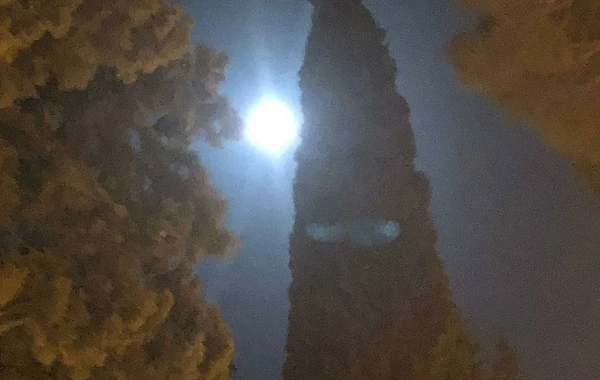 Prezident Yel çərşənbəsini ailəsi ilə qeyd etdi - FOTO