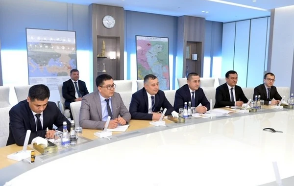 SOCAR и McKinsey готовят стратегический план развития - ФОТО