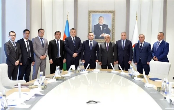 SOCAR и McKinsey готовят стратегический план развития - ФОТО
