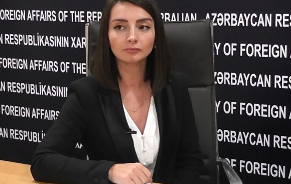 Leyla Abdullayeva: "Ermənistanda islamafobiya və ksenofobiya pik səviyyədədir"