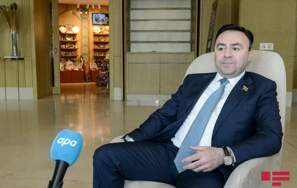 Elnur Allahverdiyev: “Milli Məclisdə fəaliyyətə başladığım andan sahibkarlıq fəaliyyətimə son vermişəm” - MÜSAHİBƏ