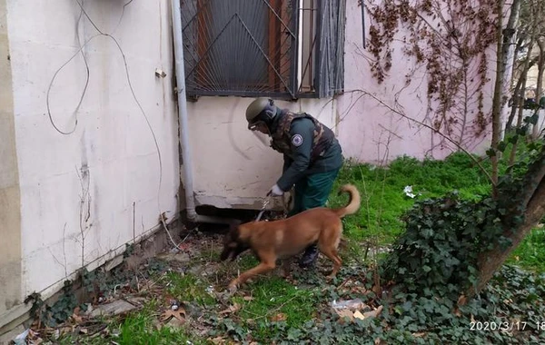 Bakının Xətai rayonunda əl qumbarası aşkar edilib - FOTO