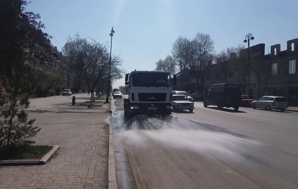 Bölgələrdə küçə və yaşayış binaları belə dezinfeksiya olunur - FOTO