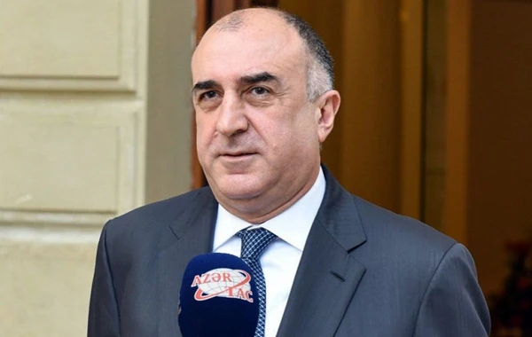 Elmar Məmmədyarov: Xarici İşlər Nazirliyi xüsusi rejimdə fəaliyyətlərini davam etdirirlər