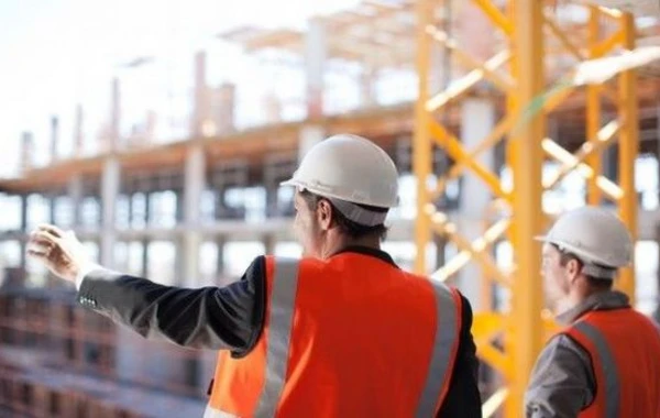 Bakıda yeni tikintiyə görə ağacları köçürdülər