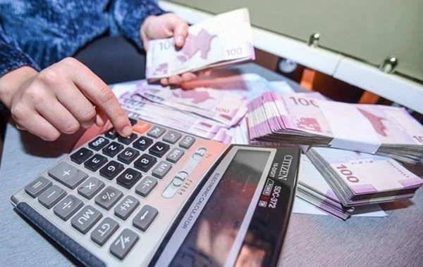 Dövlət böyük güzəşt edə bilər - bu borcların silinməsi gözlənilir