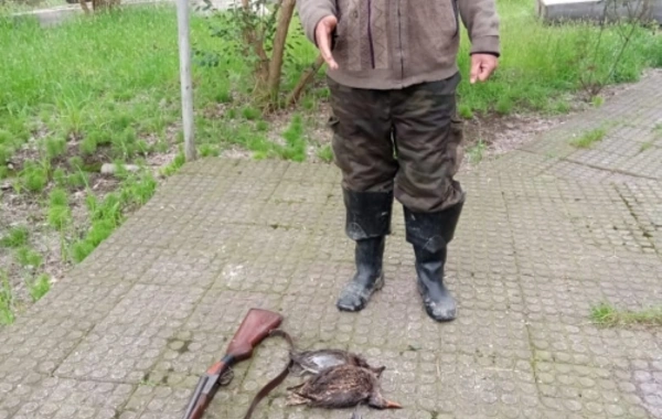 “Qırmızı Kitab”a düşmüş quşları ovlayan şəxs saxlanıldı - FOTO