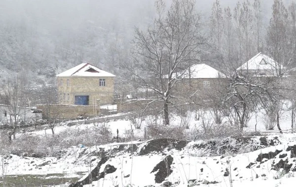 Qəbələyə 15 sm qar yağıb - FOTO