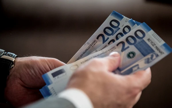 İşsiz şəxslərə birdəfəlik ödəmənin verilməsinə başlanılıb
