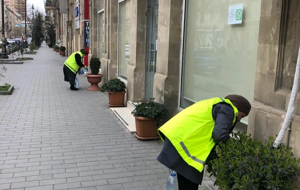 Karantin günlərində Bakıda görülən işlər - FOTO