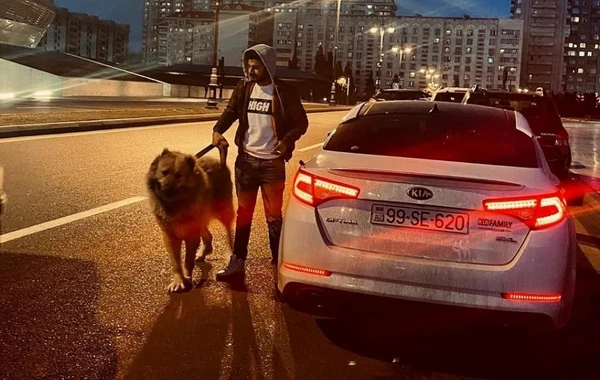 В Баку задержан парень, распивающий пиво на полицейском автомобиле - ФОТО