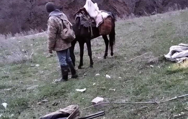 Qanunsuz ov edənlərlə bağlı sərt tədbirlər görüləcək - FOTO