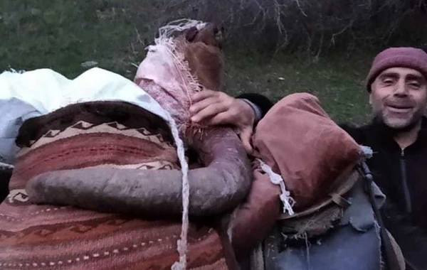 Qanunsuz ov edənlərlə bağlı sərt tədbirlər görüləcək - FOTO