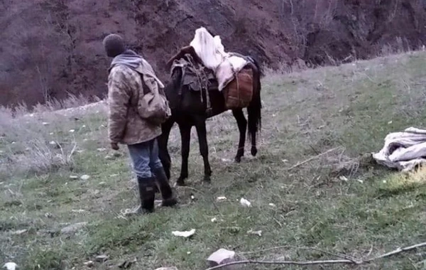Сотрудники Национального парка Шахдаг задержали незаконно охотившихся лиц - ФОТО