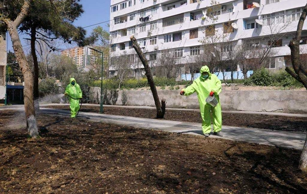 Daha 2 min nəfər ödənişli ictimai işlərə cəlb olundu - FOTO