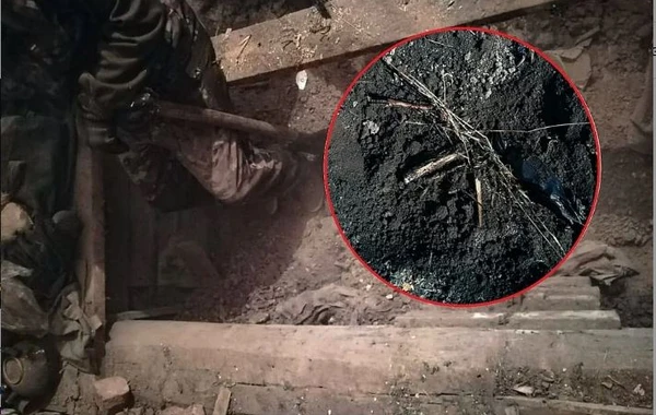 В доме 66-летнего россиянина нашли расчлененные тела - ФОТО