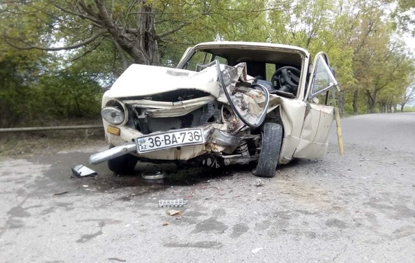 Oğuzda avtomobil ağaca çırpıldı, xəsarət alanlar var - FOTO