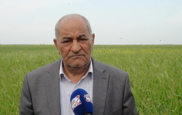 DTX-nın həbs etdiyi başçı ilə bağlı ŞOK FAKTLAR - FOTO