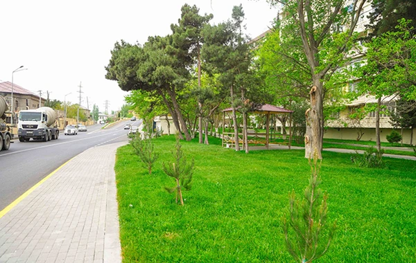 Bakıda qanunsuz çəpərlənmələr sökülüb, uşaq əyləncə meydançaları quraşdırılıb - FOTO