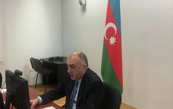 Elmar Məmmədyarov: Nasistlərin qəhrəmanlaşdırılmasından ciddi narahatıq - FOTO