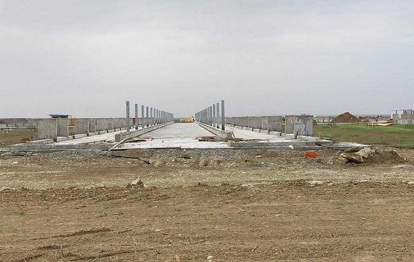 Dövlət özəl heyvandarlıq kompleksinin yaradılmasına dəstək verib - FOTO