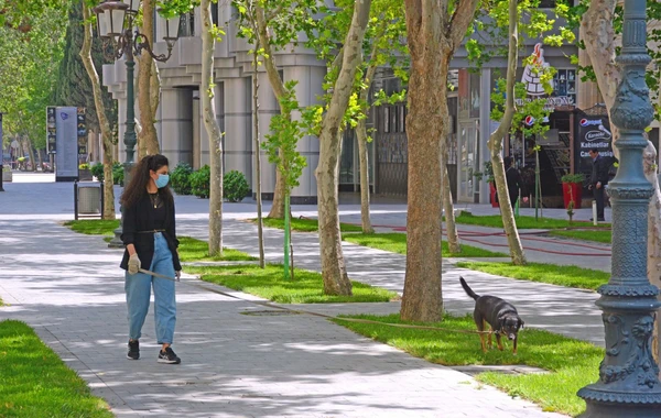 Bakı küçələri karantin dövründə - FOTO