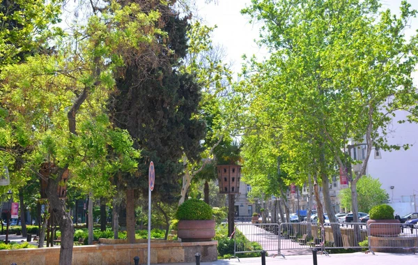 Bakı küçələri karantin dövründə - FOTO