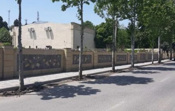 Azərbaycanda vəzifəli şəxs cəzalandırıldı - FOTO