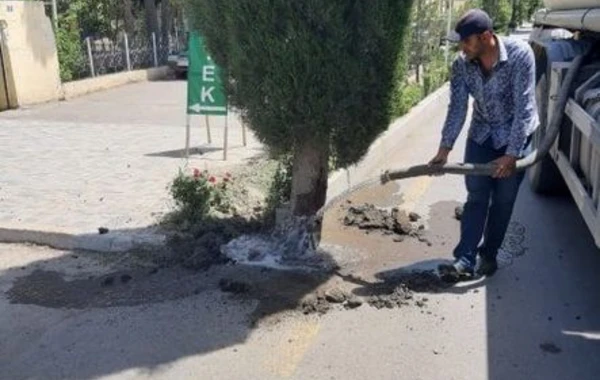 Azərbaycanda vəzifəli şəxs cəzalandırıldı - FOTO